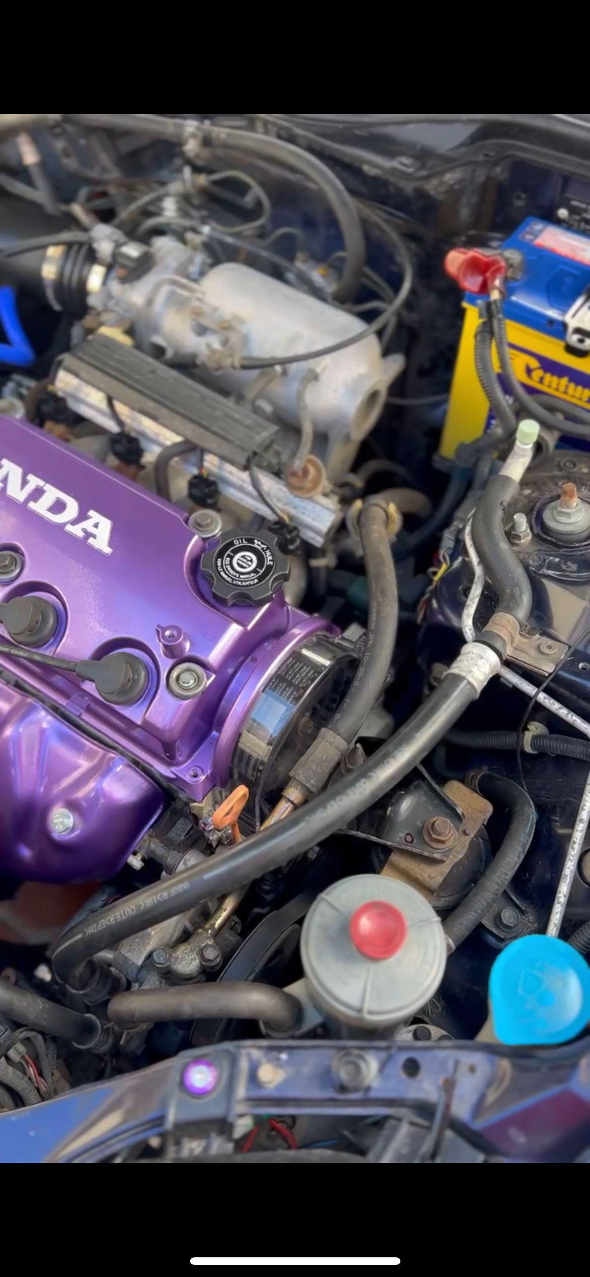 D16 and D15 SOHC Clear Timing Belt Cover (96-00 D15+16)