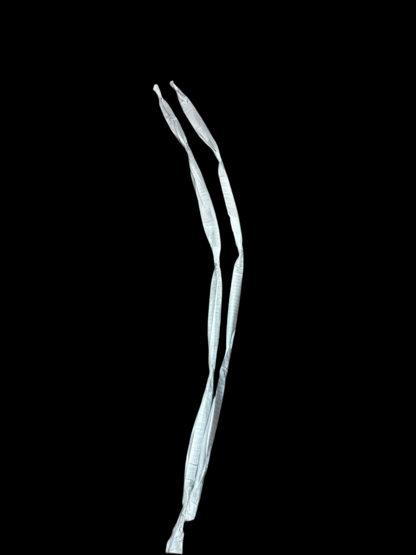 Genuine Honda Civic FD2R Roof Moulding *PAIR*